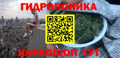 шишки Кунгур