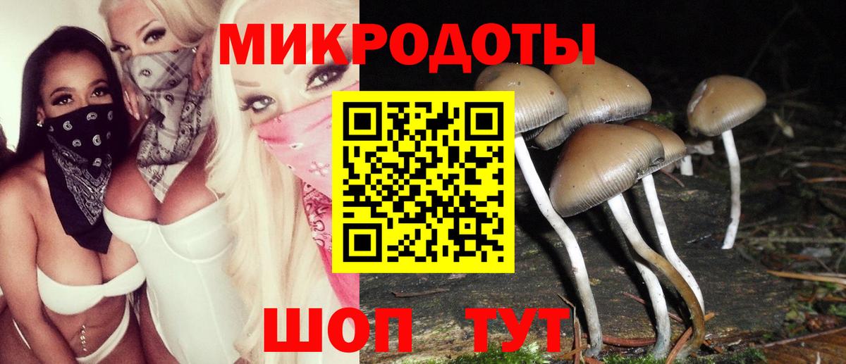 Галлюциногенные грибы прущие грибы  Вход с VPN  Галлюциногенные грибы Psilocybe  Гусиноозёрск 